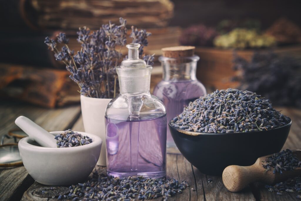 Bowl of dry lavender flowers and medicinal herbs